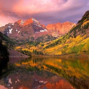 Meet your Posher, Victoria